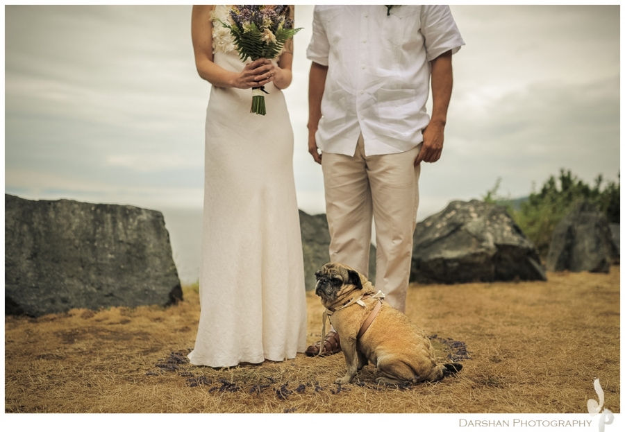 Dog and his Owners West Coast Weddings Magazine