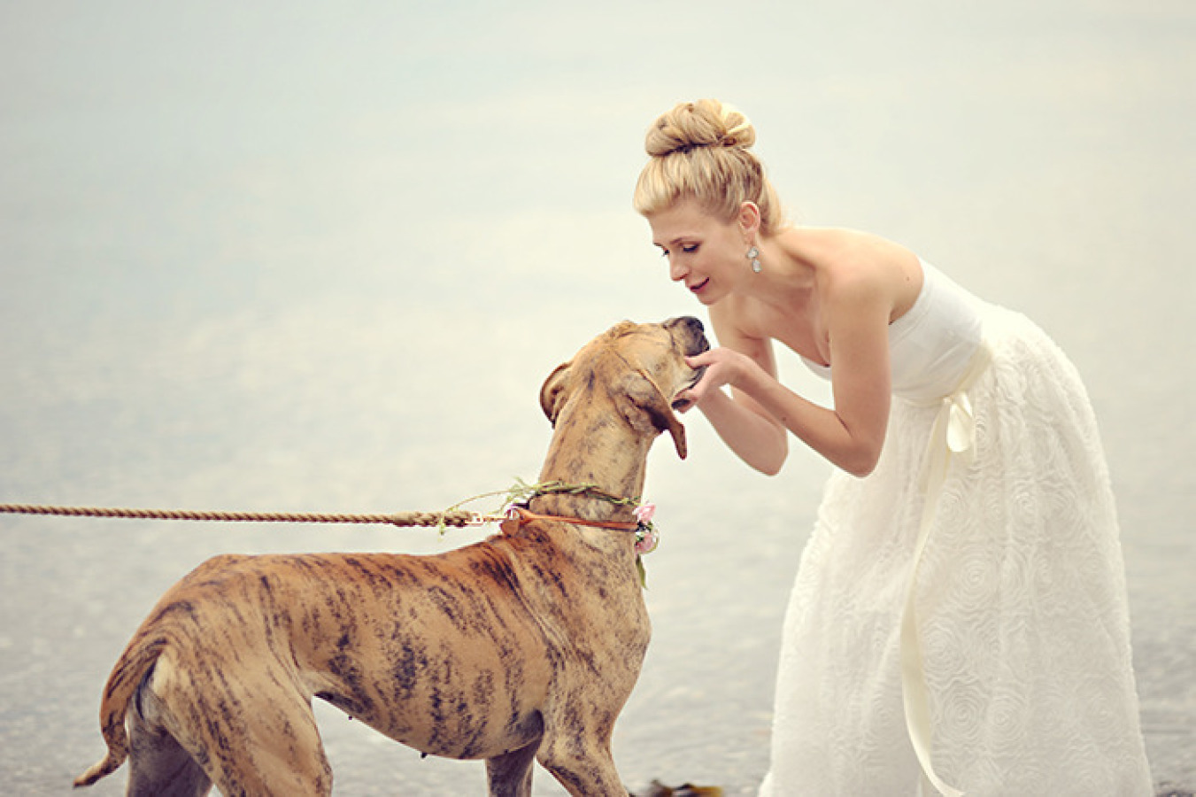 Bride and Beautiful Dog at Vancouver Island wedding