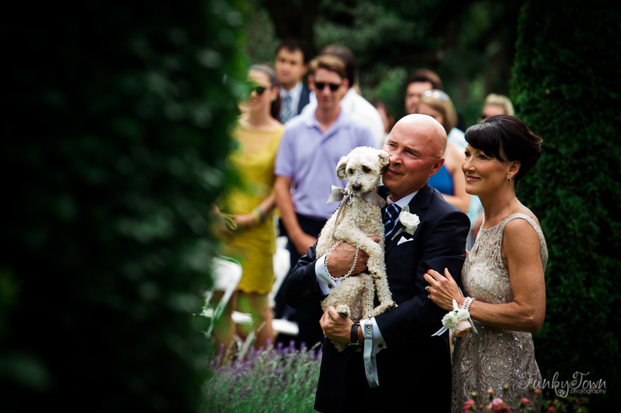 Your Pet at Your Wedding Vancouver Island Magazine