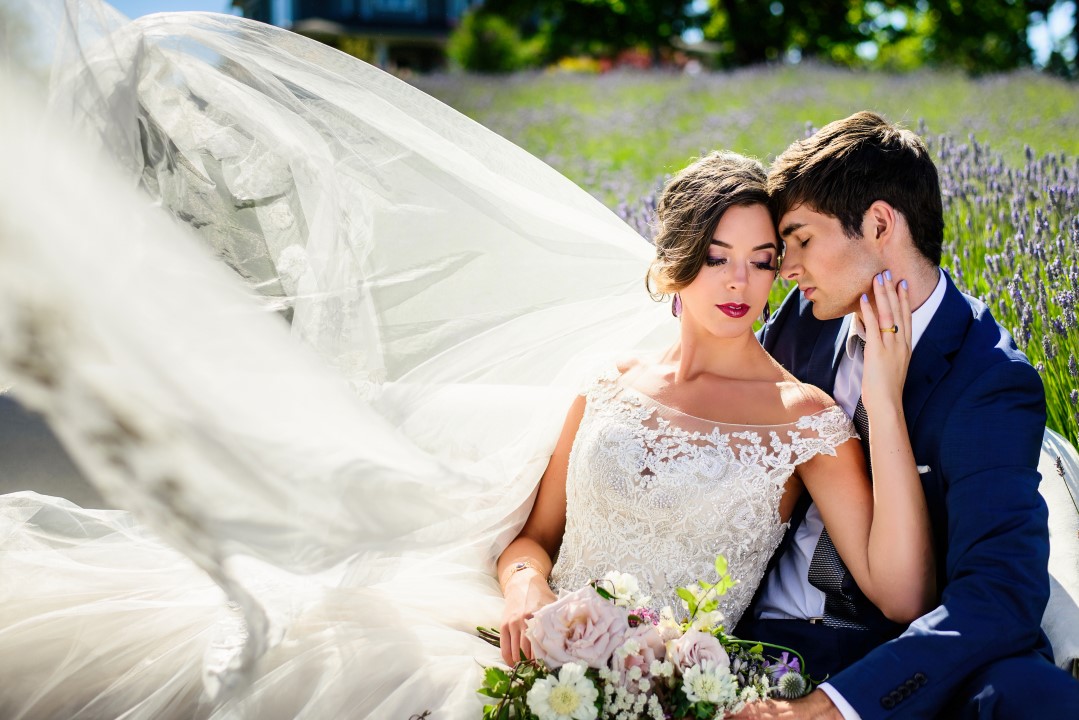 Perfect bridal shot in field of lavender Kristen Borelli Photography