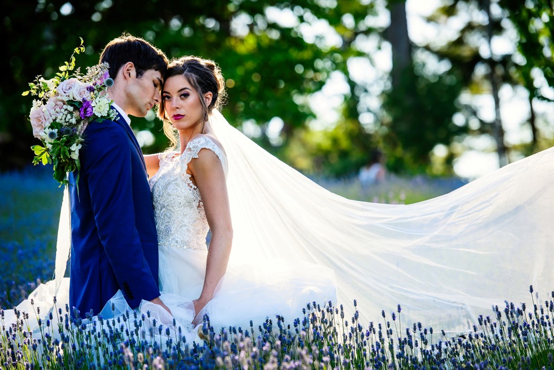 Bridal Couple in Field of Lavender Kristen Borelli Photography