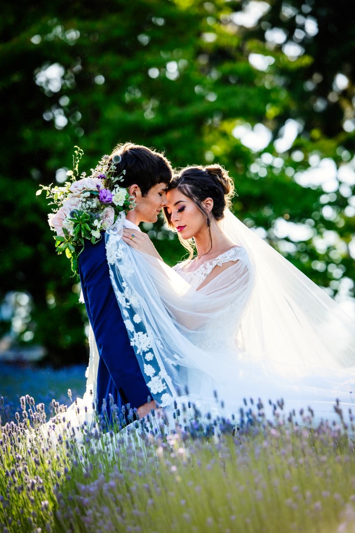 Bride Kissing Groom in Field of Lavender Kristen Borelli Photography