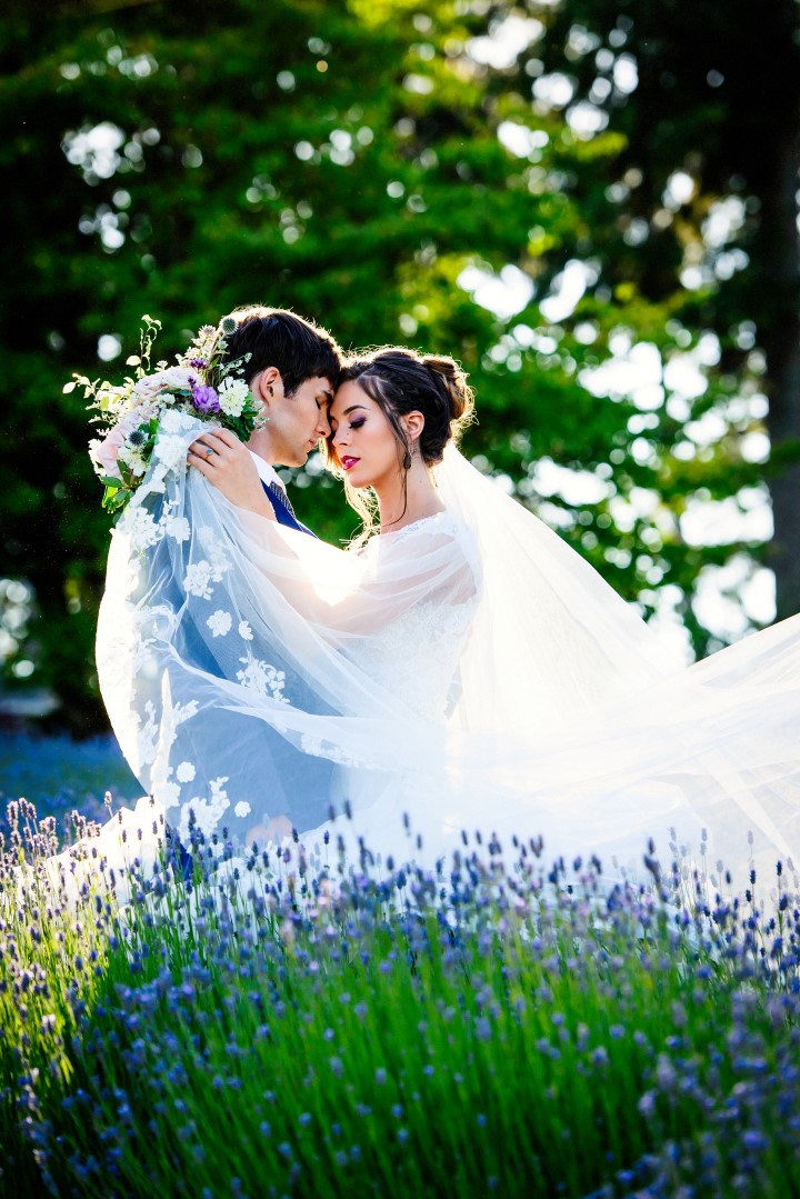 Perfect couple in field of lavender Kristen Borelli Photography