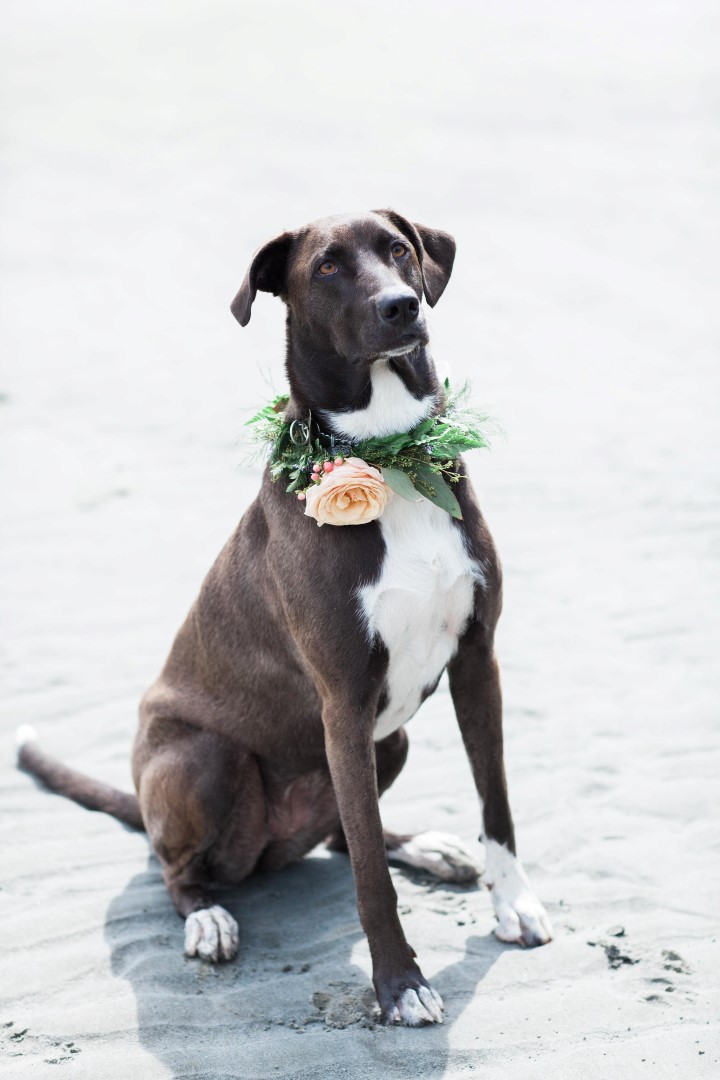 Nautical Love West Coast Weddings