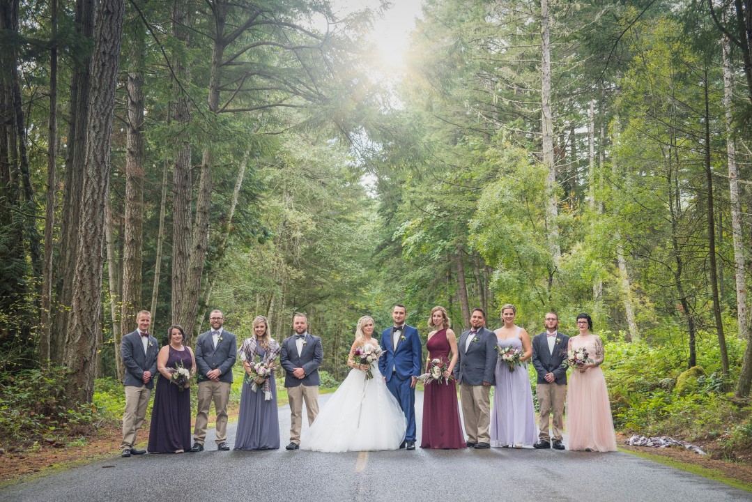 Wedding Party on Road