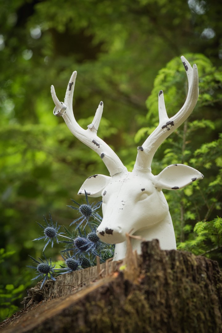 Deer in the Forest Boho River Romance West Coast Weddings