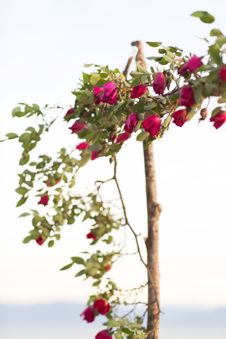 Mexican Inspired Beach Wedding Vancouver Island