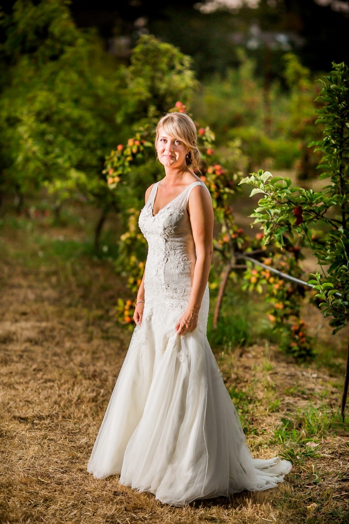 Bride in VineyardSuns Golden Kiss West Coast Weddings Magazine