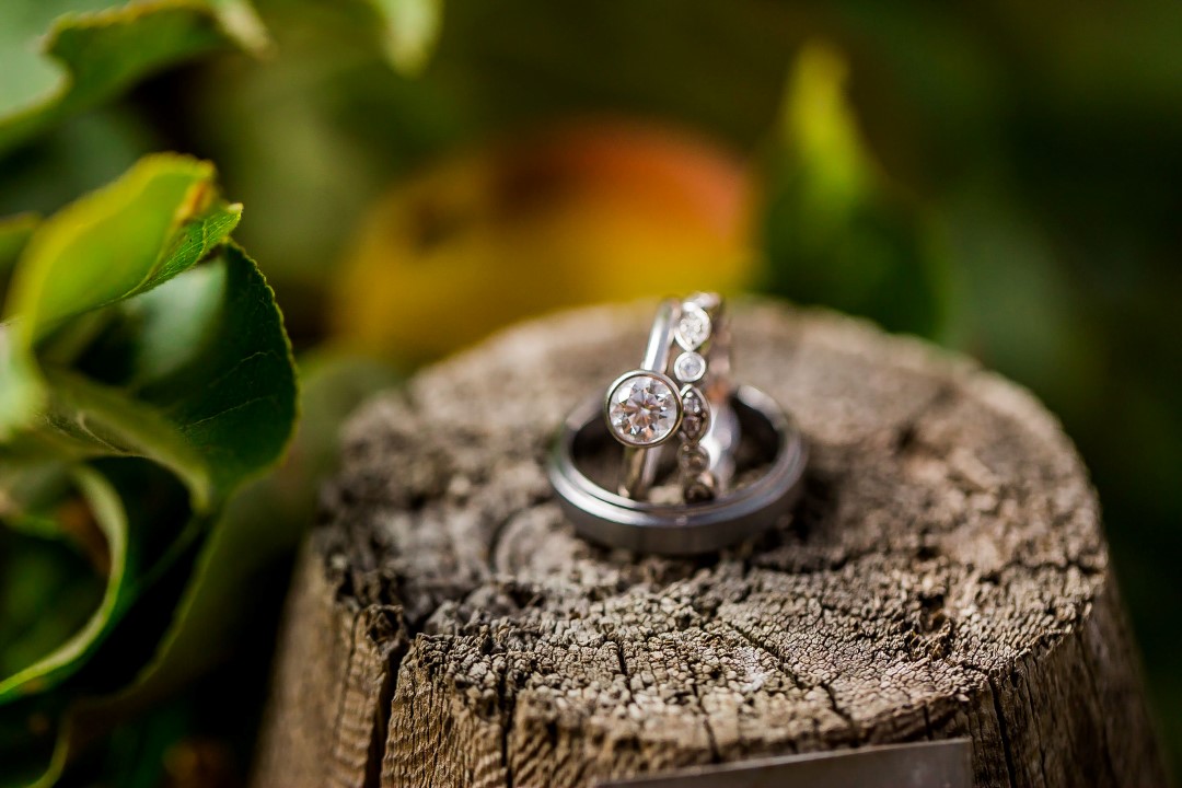 Rings on a Log Suns Golden Kiss West Coast Weddings Magazine