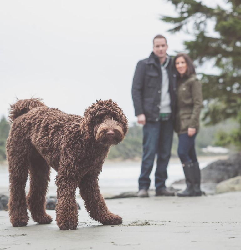 Pets at West Coast Weddings Magazine