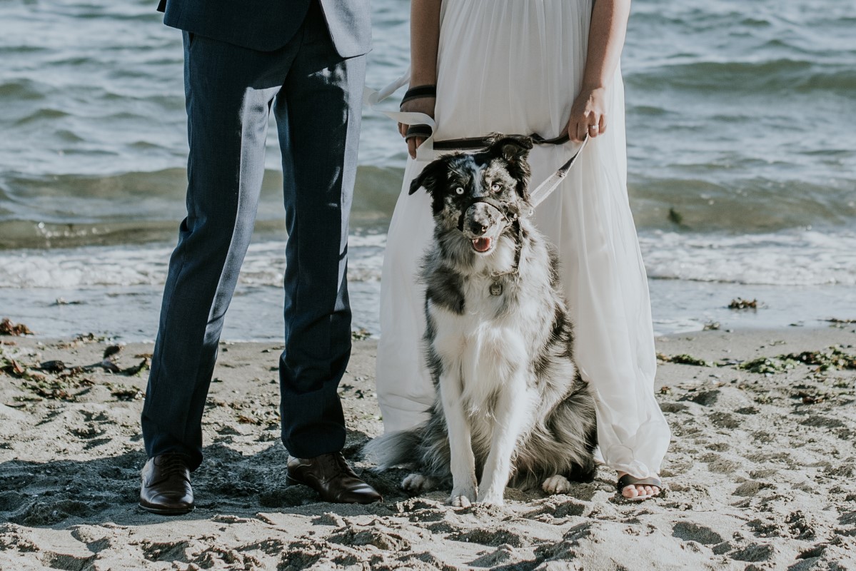 Seaside Elopement on Vancouver Island West Coast Weddings BC Wedding Magazine