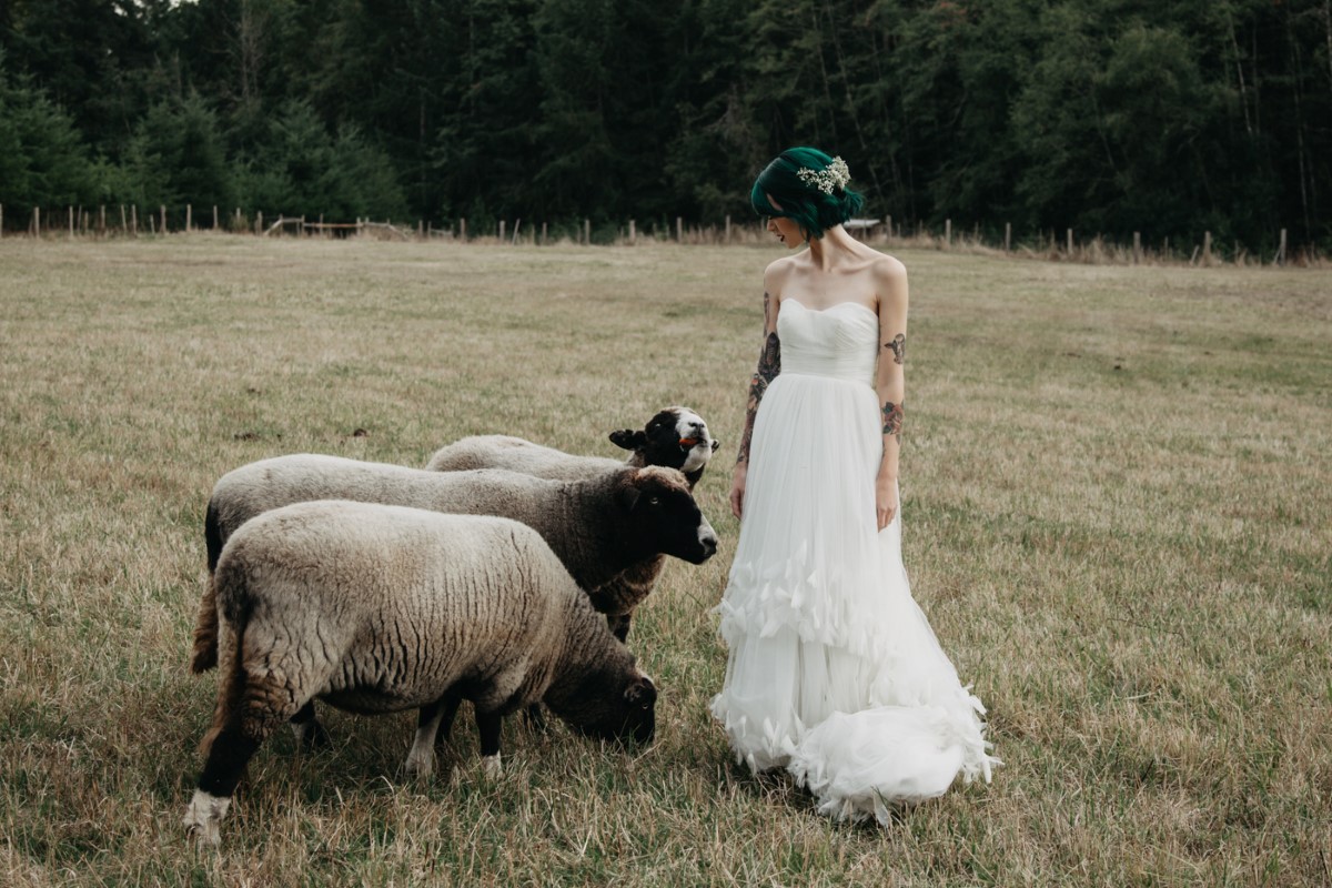 Bride with Sheep Inked + Pretty Brides West Coast Weddings Magazine