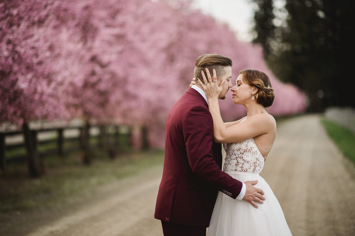 Cherry Blossom Ceremony Circle Arch | Erin Wallis Photography | Sublime Celebrations | Karen Bezaire | Shelter Point Distillery | The White Peony | Jims Clothes Closet | Purely Flower | Headquarters Hair Studio | Eden Street Spa | West Coast Weddings Magazine Kissing Couple