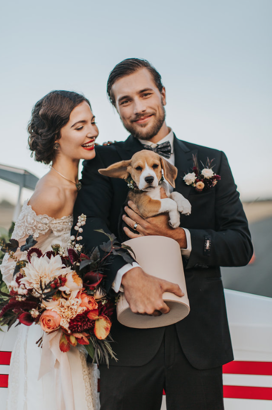 Come Fly With Me Groom and Puppy Sublime Celebrations Rivkah Photography Aviation Inspiration