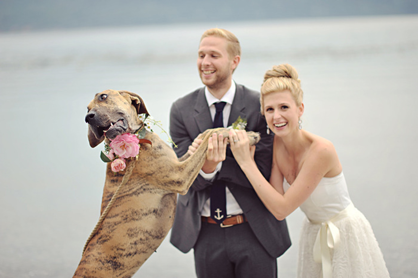 Pet Friendly Weddings at Black Rock Oceanfront Resort on Vancouver Island