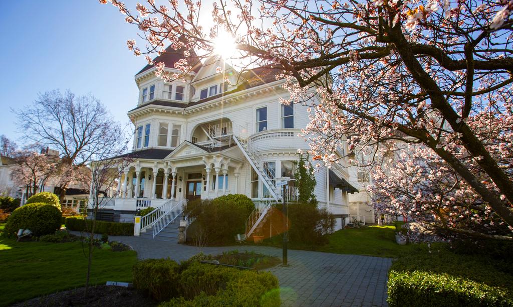 Perfect light at Pendray Inn and Tea House by Huntingdon Manor in Victoria British Columbia by West Coast Weddings Magazine