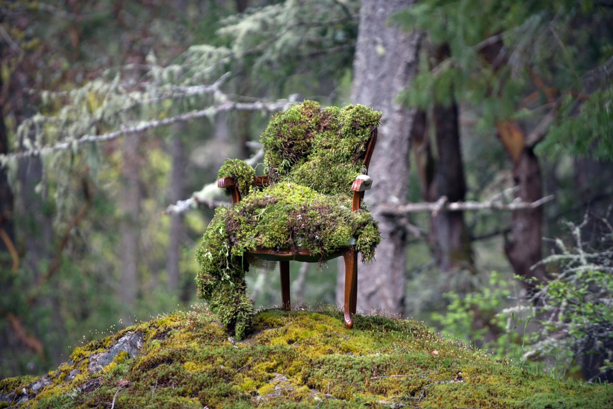 Enchanted Forest Moss Chair by Fleurtacious and Jen Steele PHotography Vancouver Island Weddings Magazine