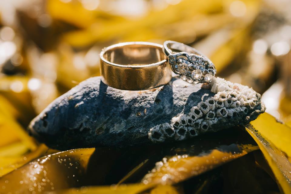 Tofino Elopement Rings on Beach Vancouver Island