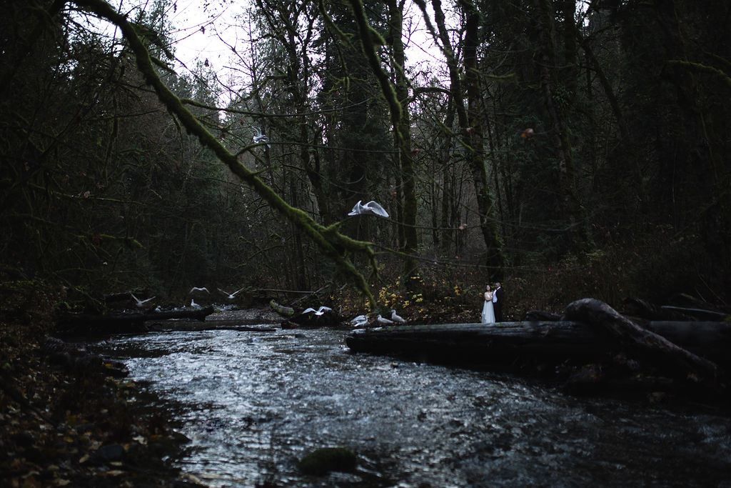 Waterfall Wedding Shoot at Goldstream Park Vancouver Island