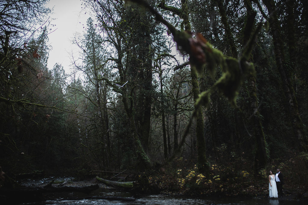 Waterfall and misty forest where bride and groom take photos