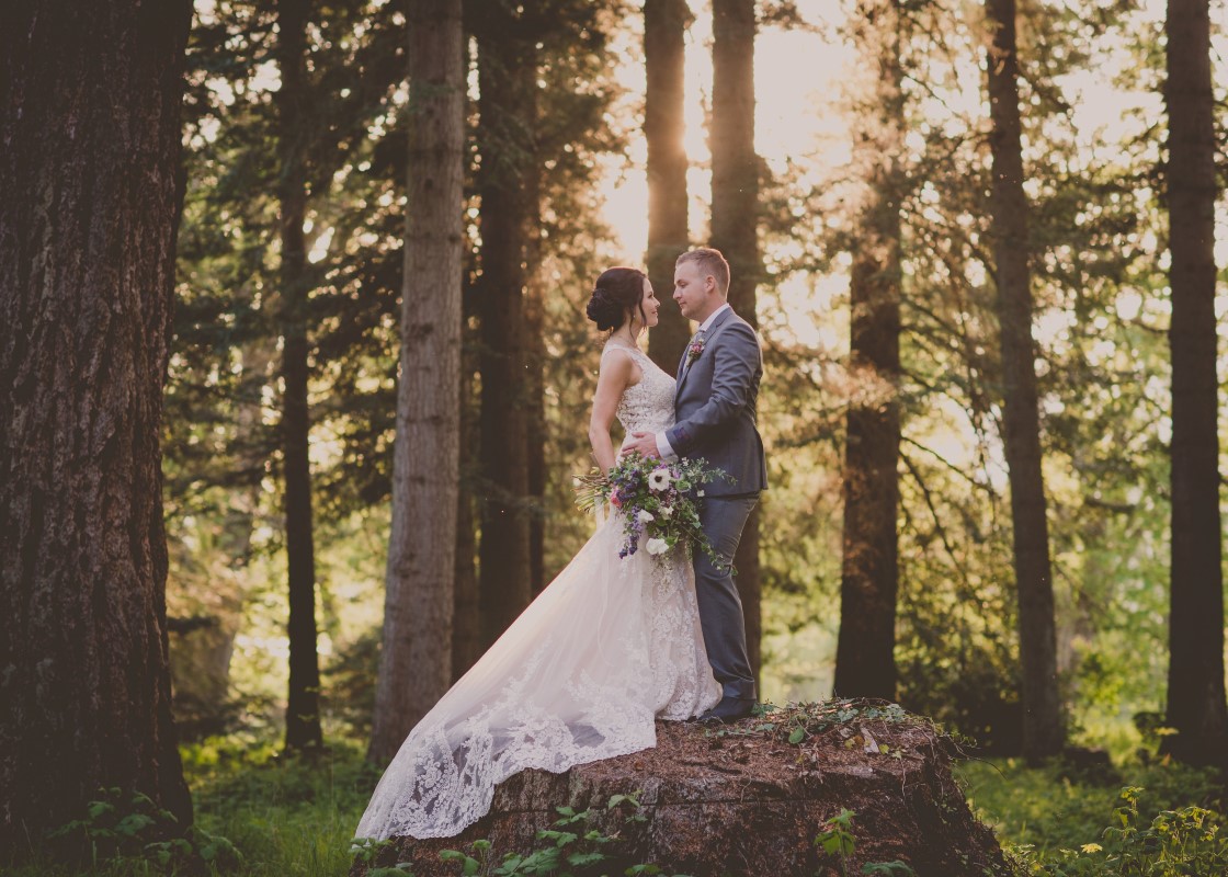 Local Love bridal couple on tree stump in forest Cowichan Valley Vancouver Island