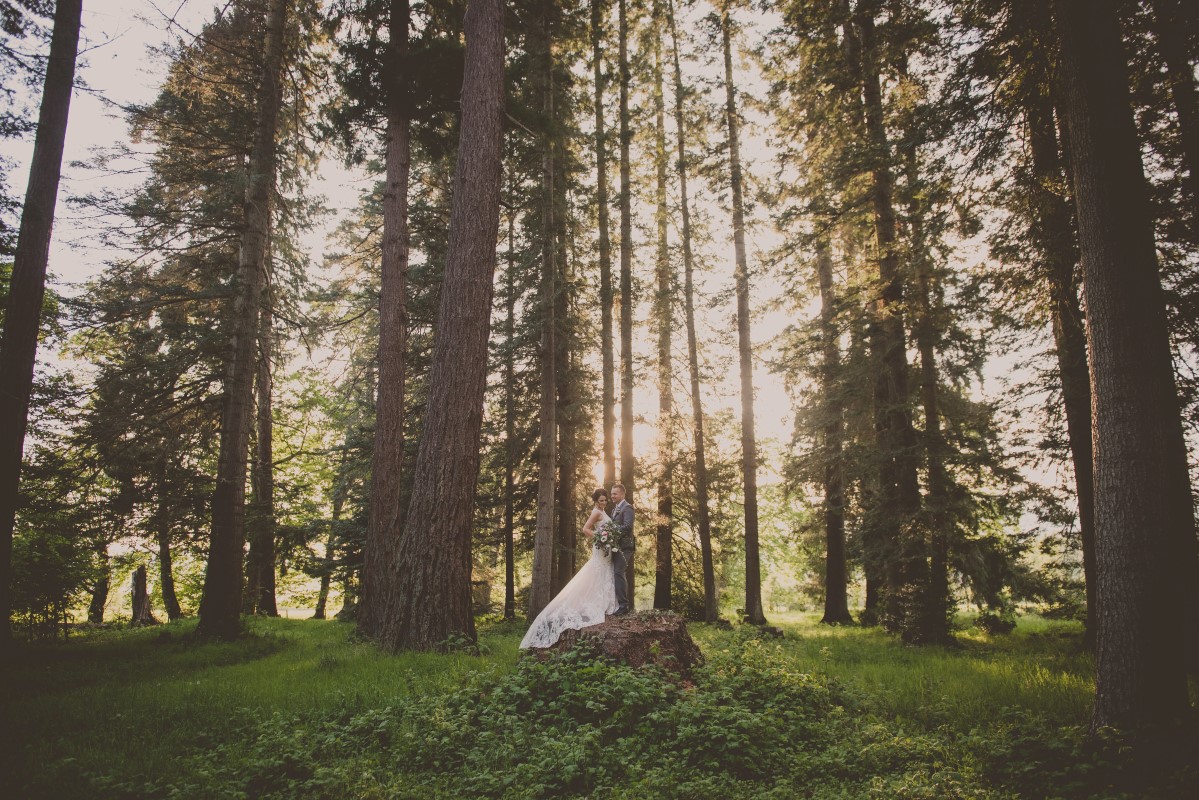 Newlyweds in forest West Coast Weddings Vancouver Island