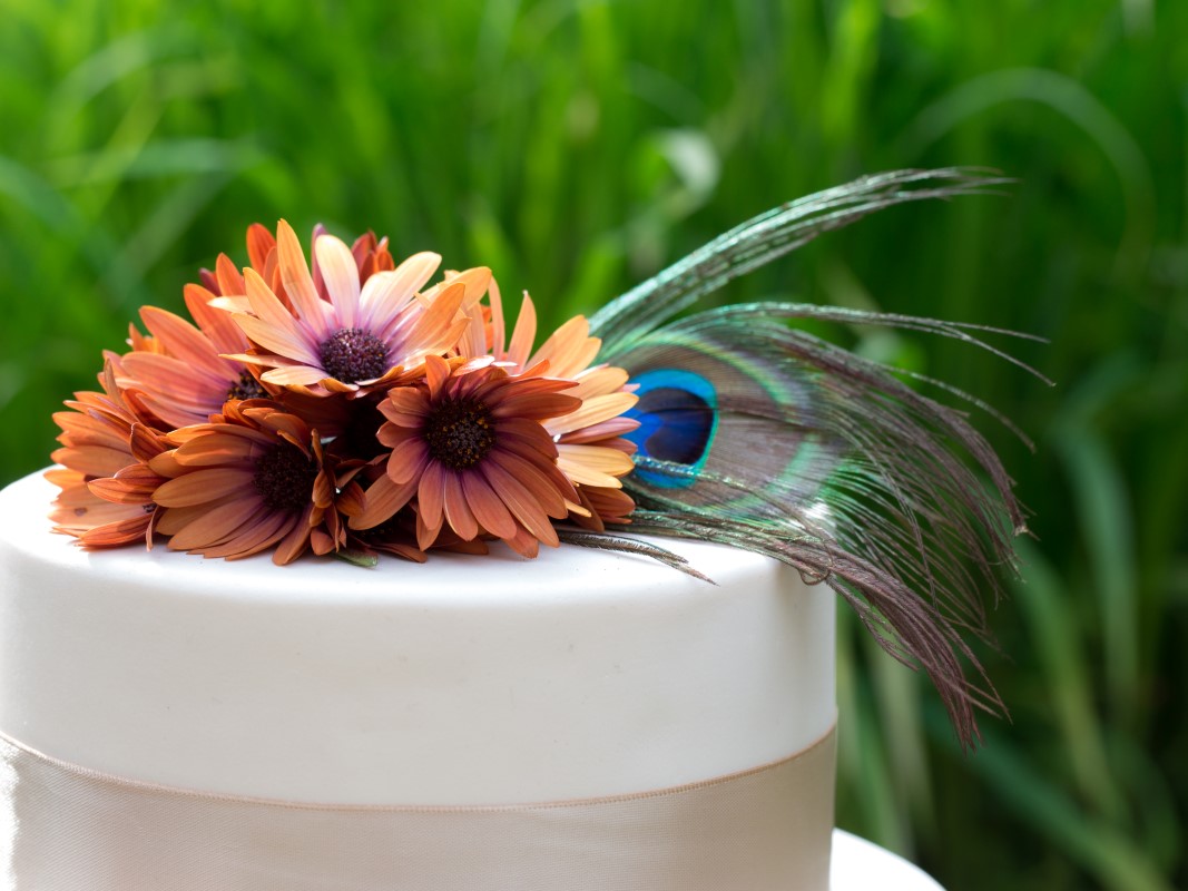 Orange Daisies with Peacock Feather on Wedding Cake