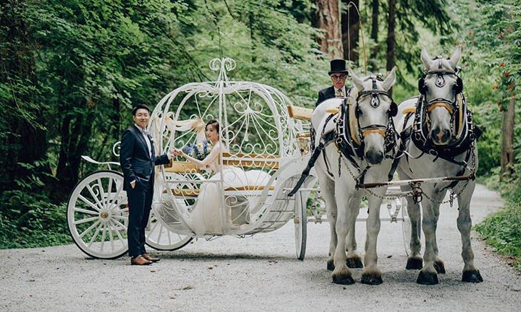 Bride and Groom in Fantasy Horse and Carriage by Cherry Wang Productions