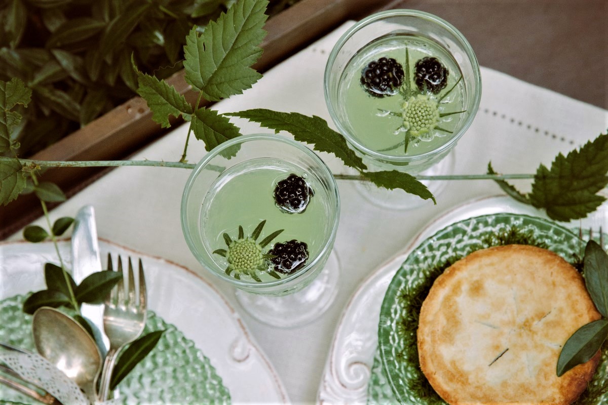 Whimsical Woodland wedding cocktails with blueberries on top