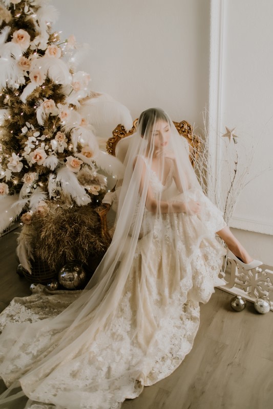 Dreamy White Wedding bride sitting nest to frosted pine tree with a very long veil covering her face