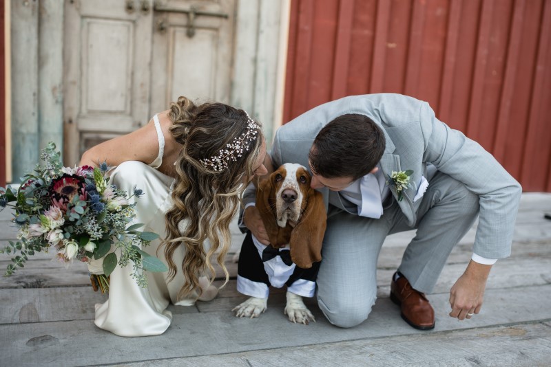 Wedding Couple with Basset Hound in Bow Tie and Tux at Telegraph Cove on Vancouver Island