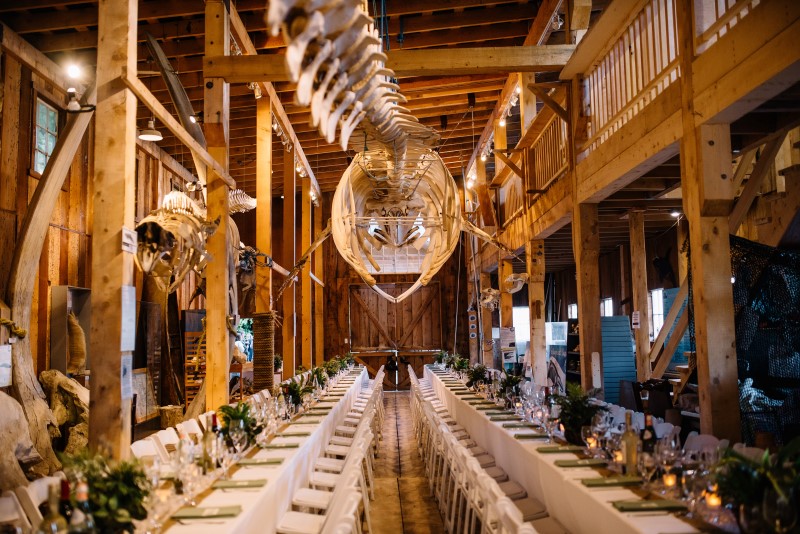 Whale Bones Hang Above Wedding Reception Long Table at Telegraph Cove by Masika May Photography