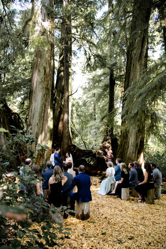 Rainforest Vows at Wickaninnish Inn Tofino BC