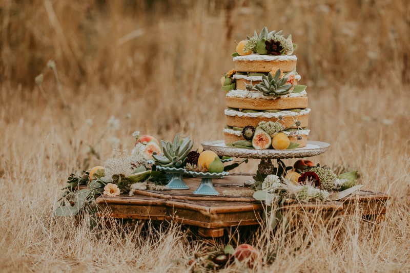 Stylish Southwest Wedding Cake and Fruit Decor by Vancouver Island Cobble Hill Cake Co.