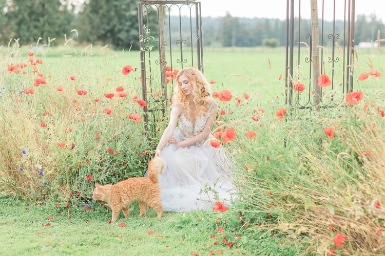 Bride and Orange Cat among garden poppies by Anzhelika Gekkelman Photography in Vancouver