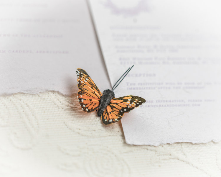 Monarch Butterfly on Wedding Invitation by Ayla Pena Vancouver