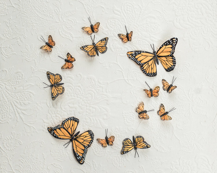 Bridal Butterflies and Poppies