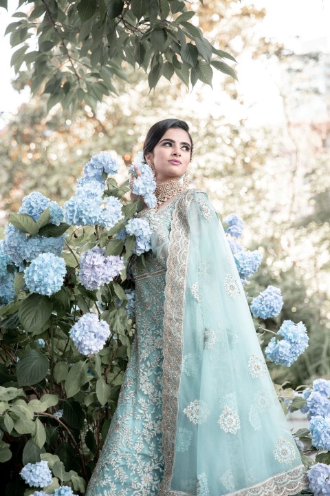 Indian bride surrounded by hydrengeas in the garden of Westin Bayshore Vancouver