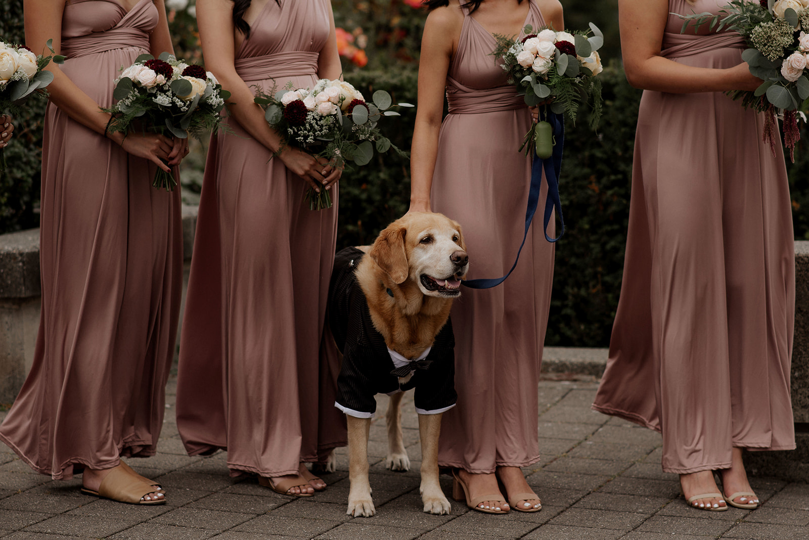 Dog in tux stands with bridesmaids in blush rose gowns