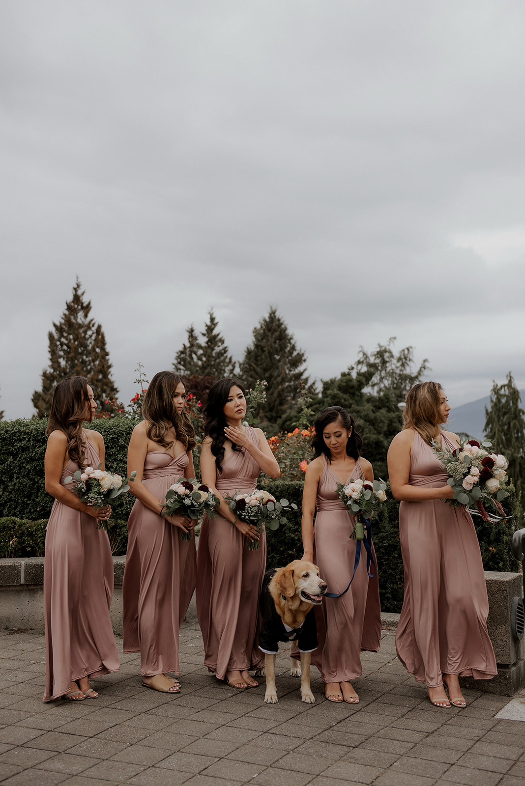 Bridesmaids in a row with beagle wearing rose gowns at Vancouver wedding