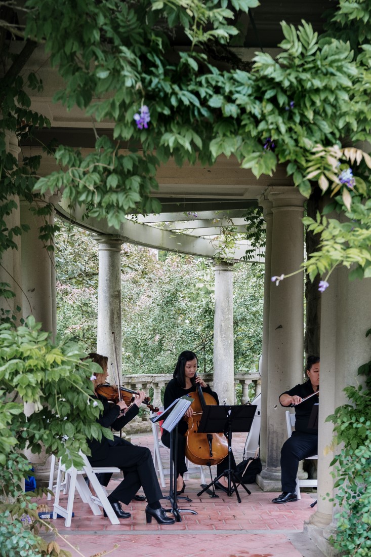 Blue Octopus String Quartet plays in the ivy covered gardens of Hatley Castle for wedding