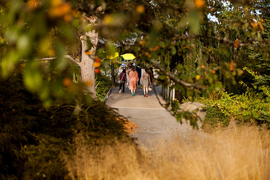 Wedding party in tall grass and forest at Van Dusen Botanical Gardens