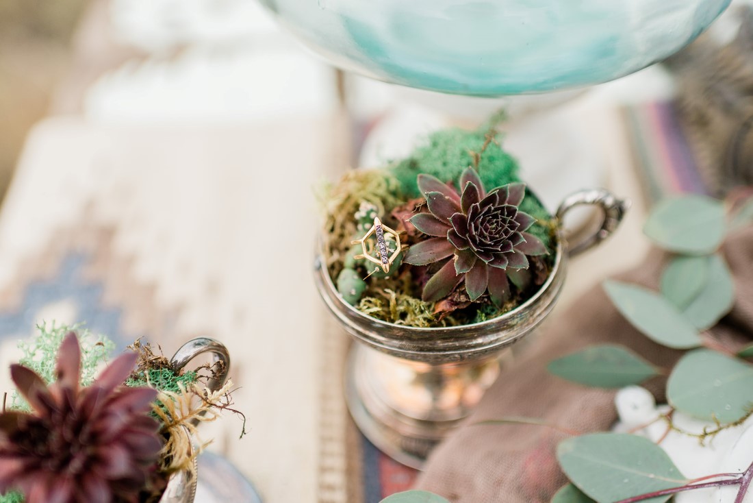 Succulents sit in dishes on desert inspired table settings