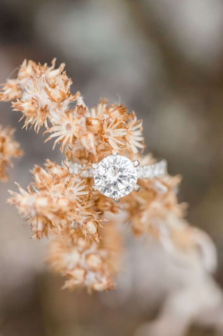 Diamond Engagement Ring sits on goldenrod