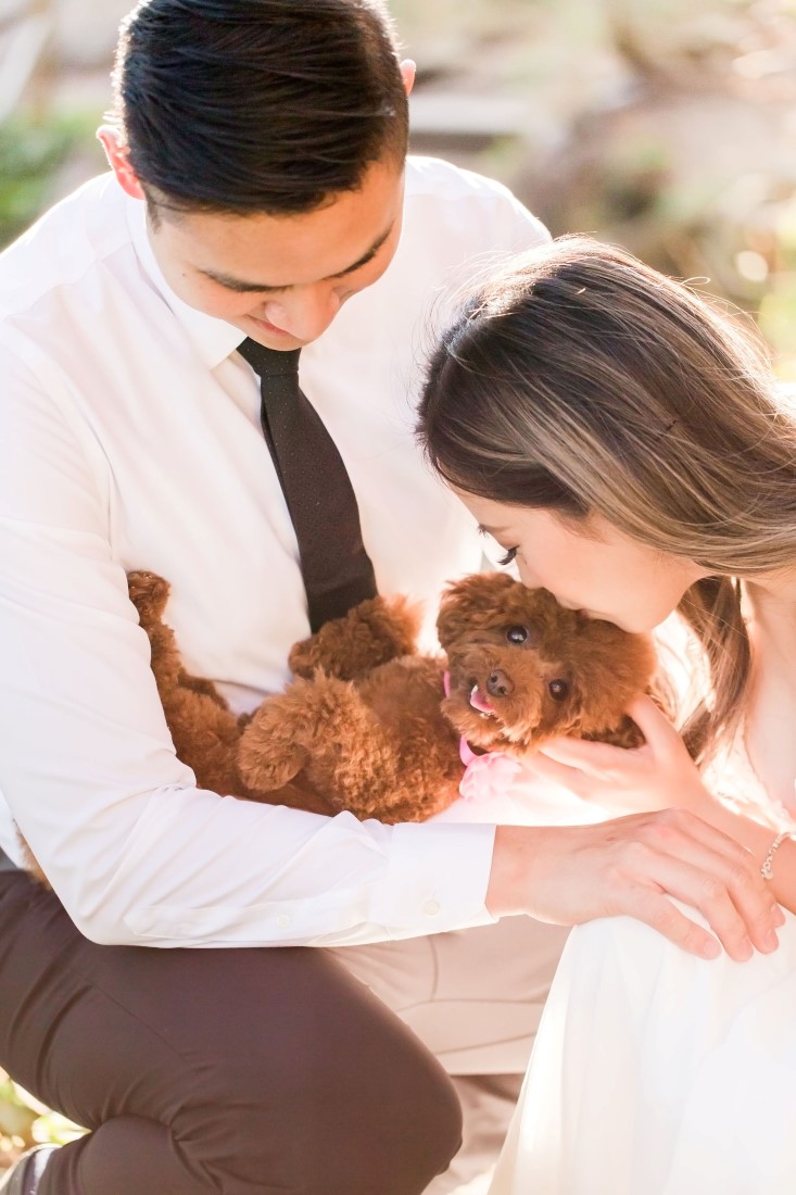 Pupply gets lots of love and kisses from engaged owners