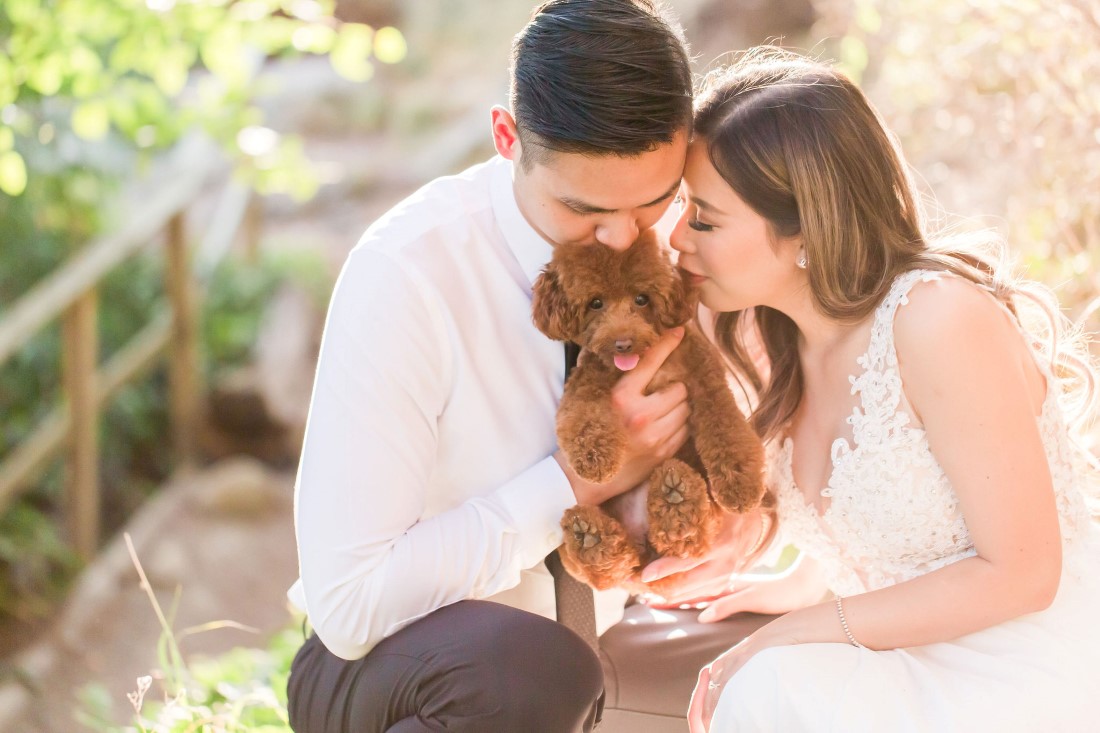 Pet Tips for your Engagement Shoot couple kiss their puppy by Vivian Ng