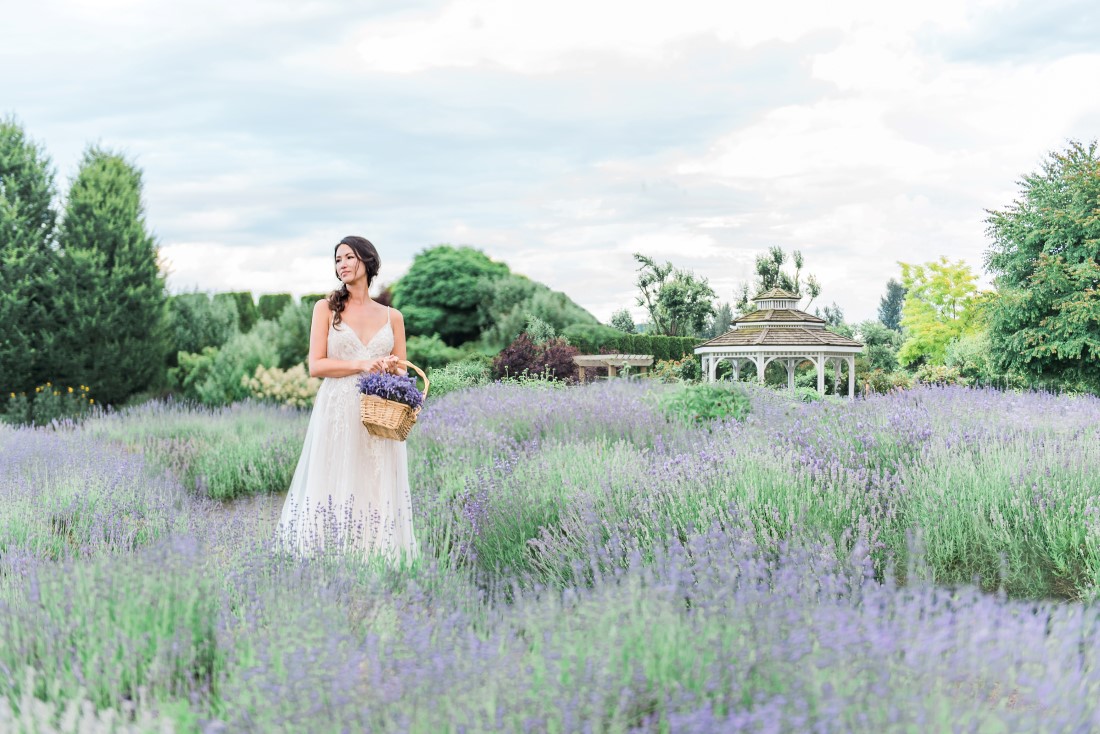 Wedding Lavender in Bloom at Tuscan Farm Garden with white gazebo and bride