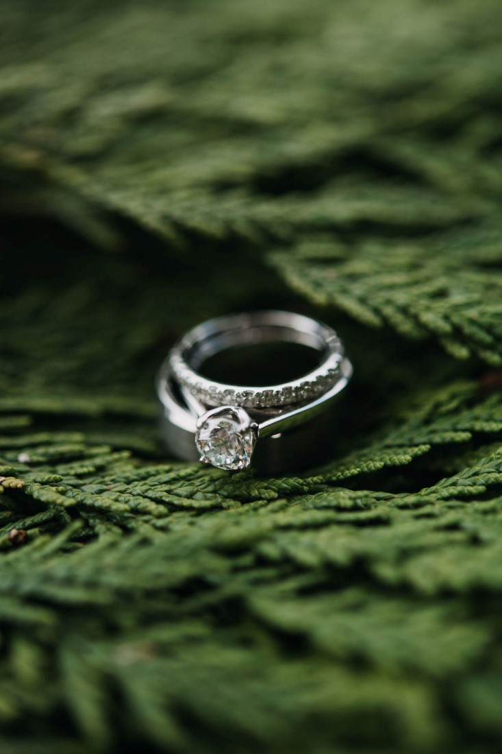 Diamond Rings on ferns by Bracey Photography Tofino