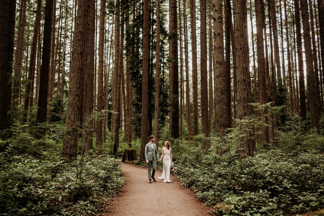 Newlyweds walk along a path surrounded by tall fir trees