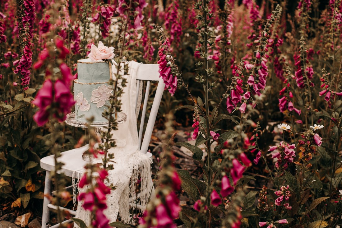 Foxgloves are Forever Island Moments Photography cake on chair with foxgloves